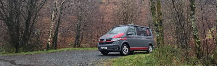 Fenyx parked among the trees on a Scottish woodland road