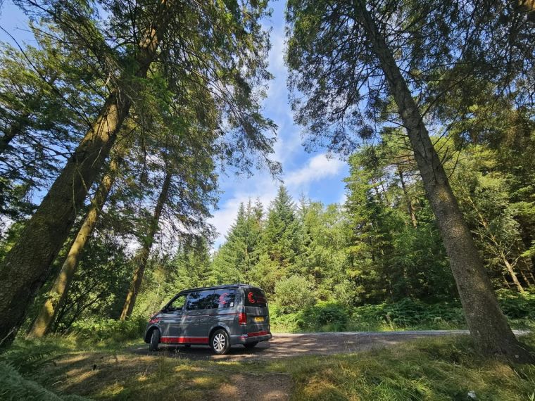 Fenyx parked among the trees on a Scottish woodland road