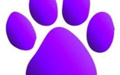 Petvisor logo