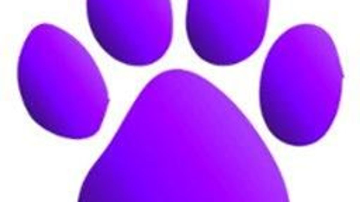 Petvisor logo