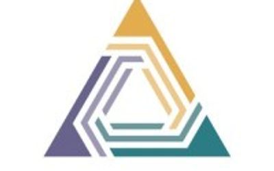 Strategic Ops Institute company logo