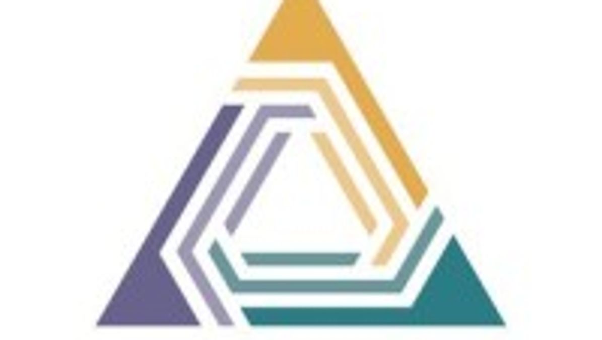 Strategic Ops Institute company logo