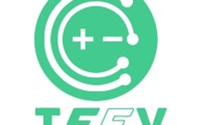 Team Enterprises company logo