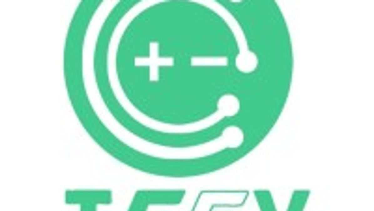 Team Enterprises company logo
