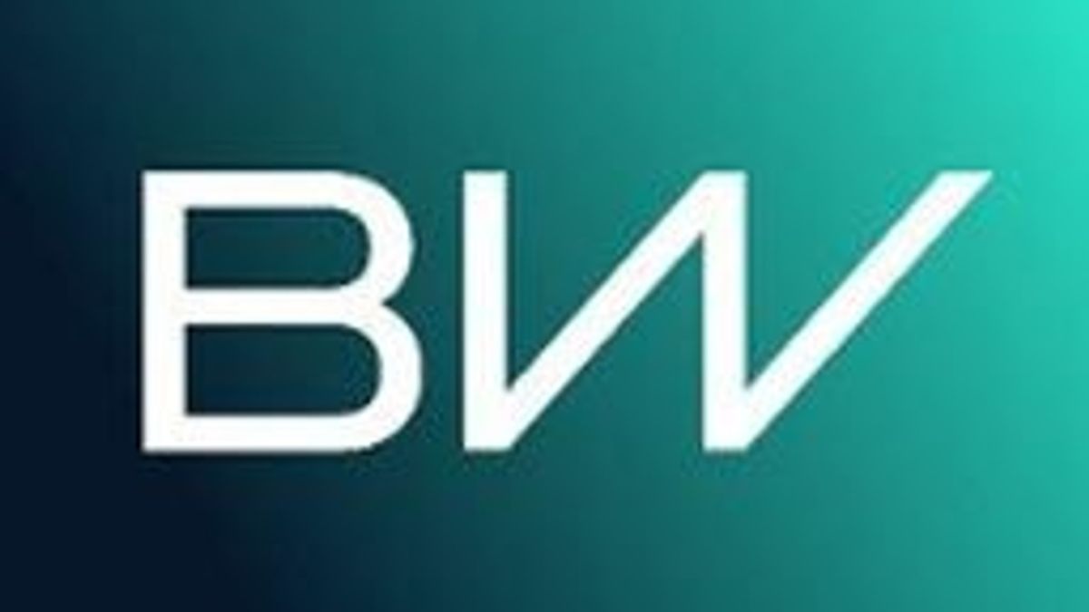 BorgWarner logo