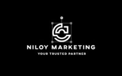 NIloy digital marketing company logo
