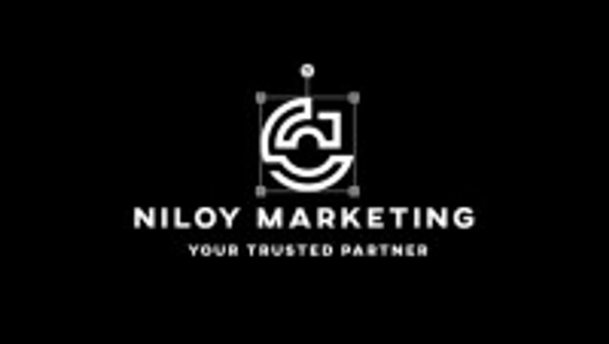 NIloy digital marketing company logo