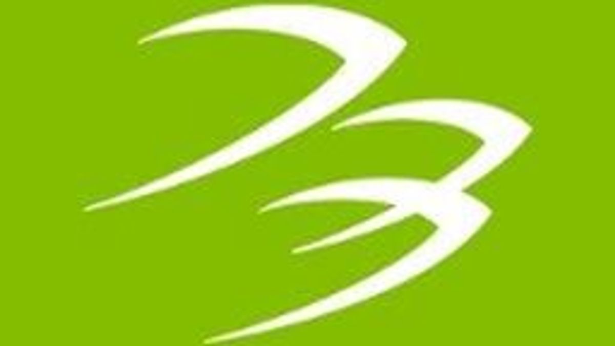 Blackhawk Network logo