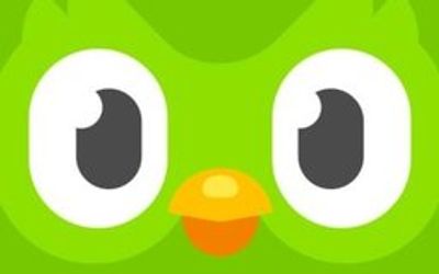 Duolingo logo