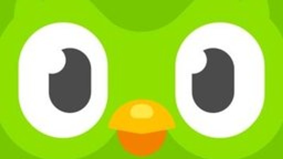 Duolingo logo