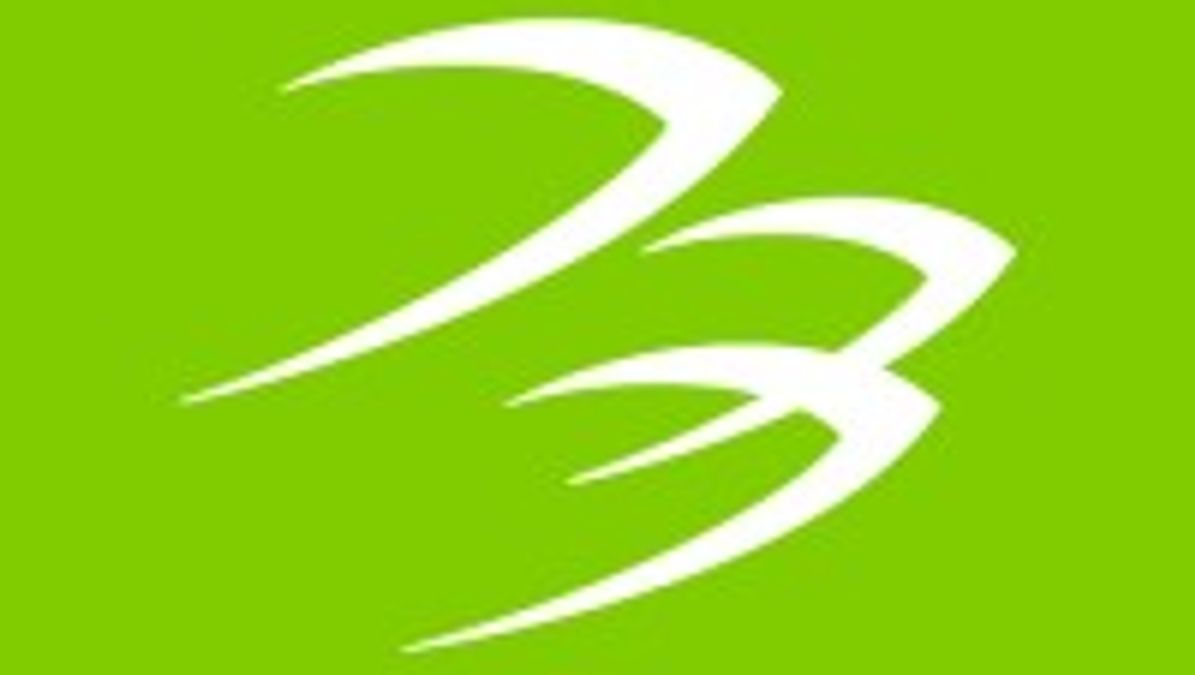 Blackhawk Network company logo