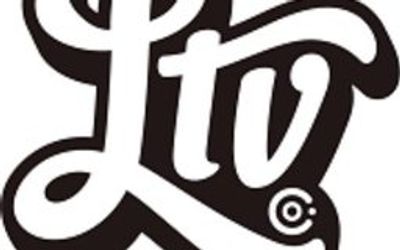 The Lifetime Value Co. logo