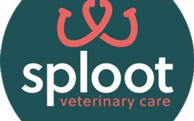 Sploot Vet Care logo