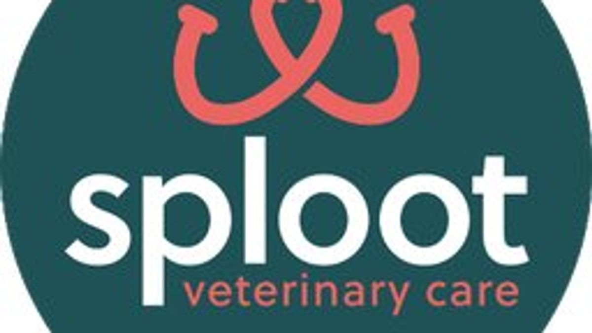 Sploot Vet Care logo