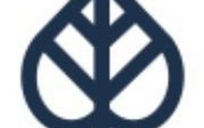 KAVA CULTURE COMPANY logo