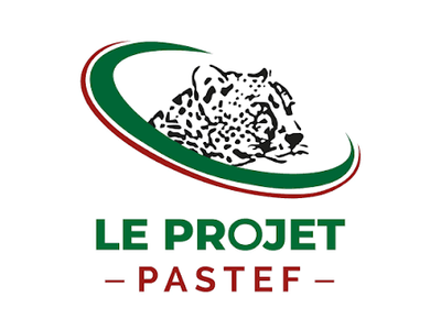 Pastef : La clarté ou la pourriture ( Par Malick Ba)