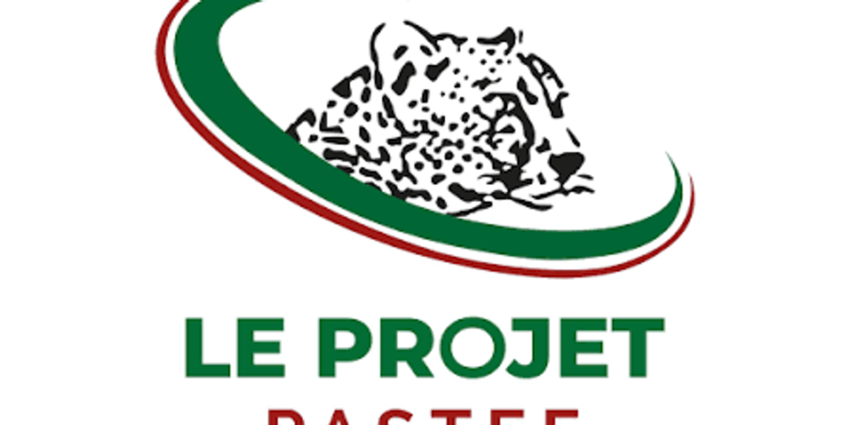 Pastef : La clarté ou la pourriture ( Par Malick Ba)