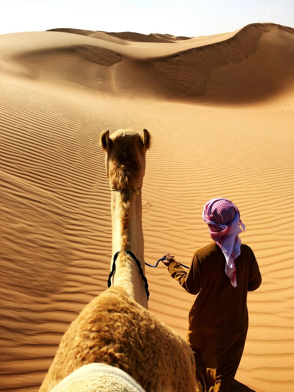 Person leading a camel across sand dunes in the desert, illustrating the importance of having a clear purpose and direction before beginning a journey.