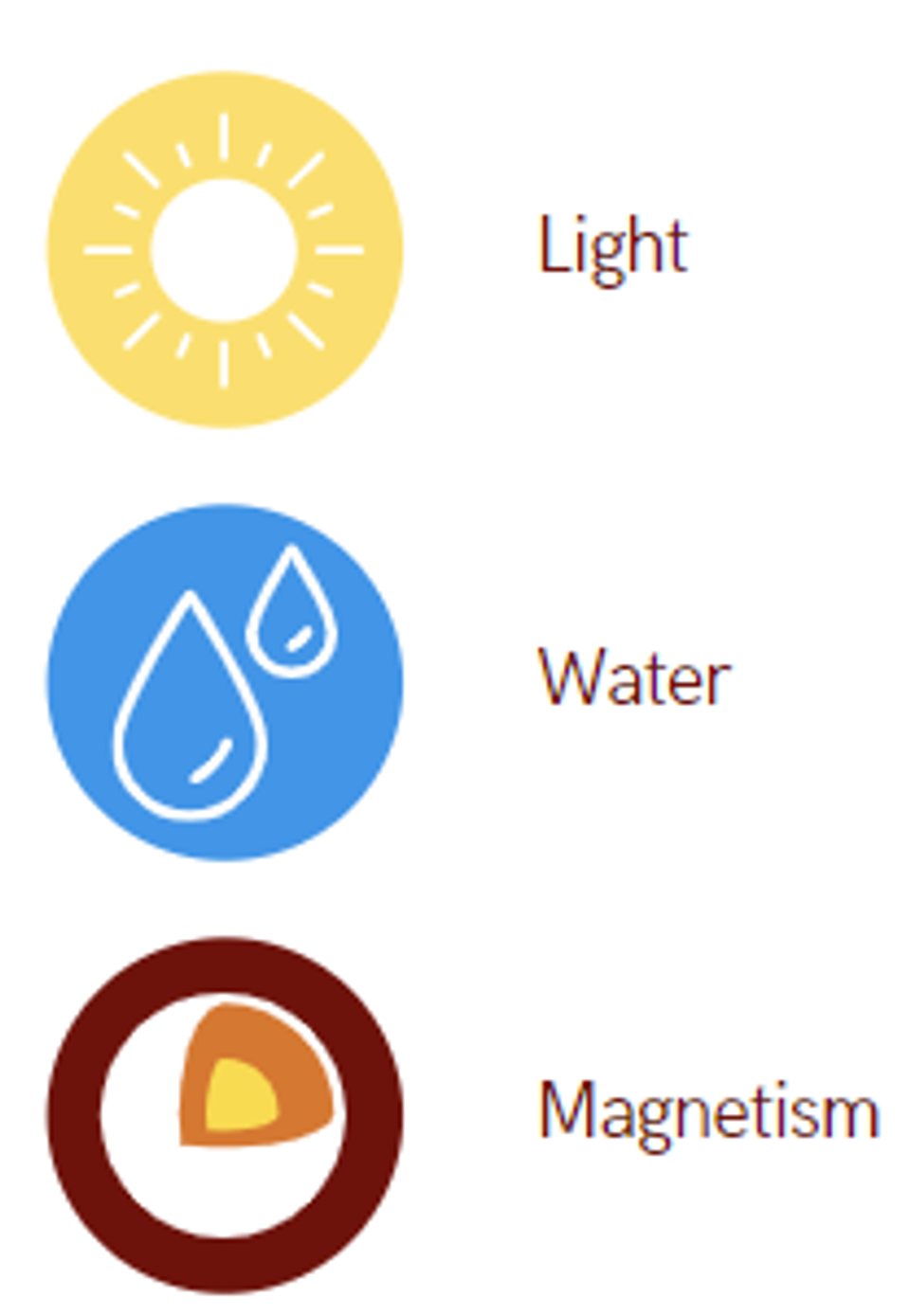 Simple diagram illustrating the three environmental factors—light, water, and magnetism—presented as the primary influences on mitochondrial function and human biology.