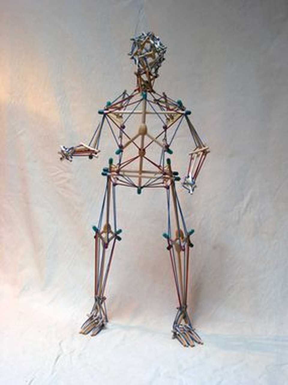 Physical model of a human body built using rods and tension cables to demonstrate the principle of biotensegrity.
