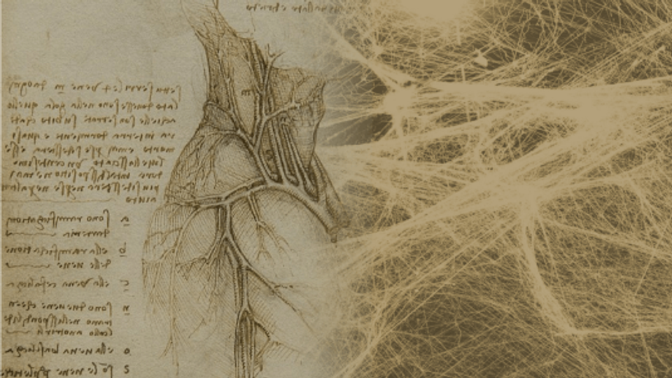 Composite combining Leonardo da Vinci's anatomical drawing of the heart with an interconnected fascial network, illustrating the body's continuous structural connections.