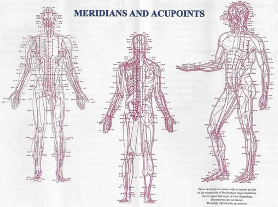 Diagram of the human body illustrating traditional acupuncture meridians and acupoints across the front, back, and side views.