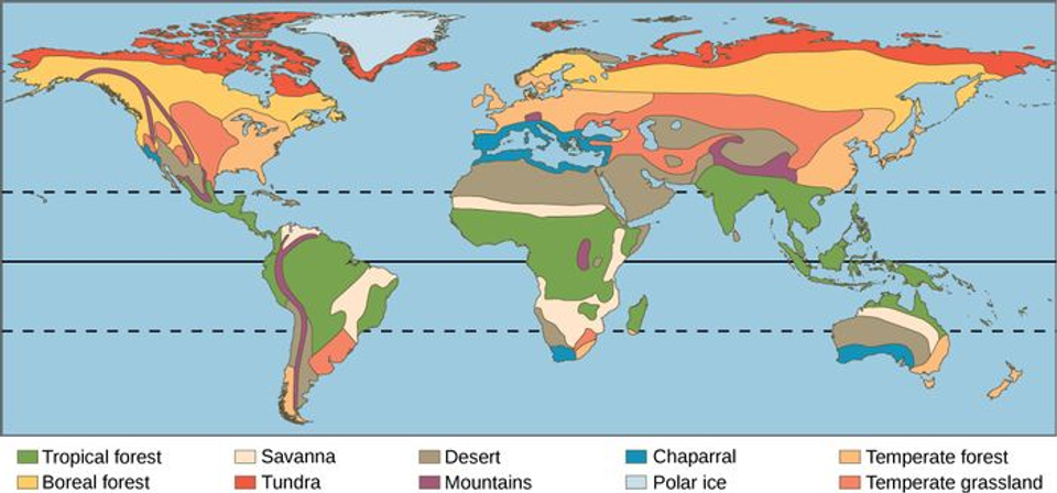 World map showing Earth's major climate zones and tropical regions, illustrating the geographic areas discussed in relation to the origins of many world-class footballers.