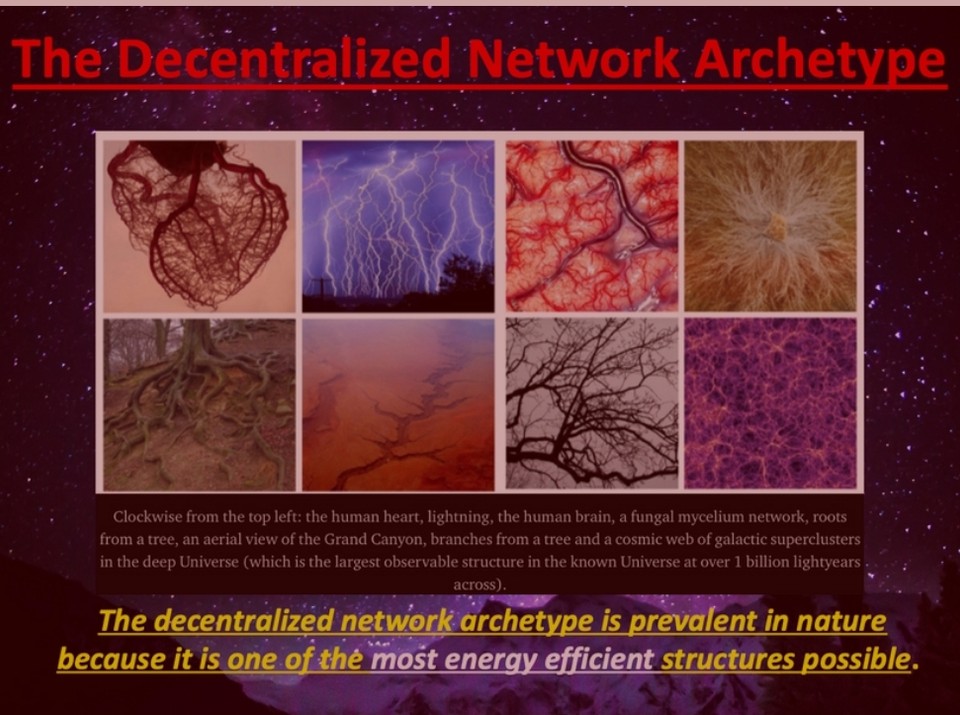 Collage comparing branching networks found throughout nature, including the heart, lightning, brain, fungal mycelium, tree roots, river systems, tree branches, and the cosmic web, illustrating recurring interconnected patterns.