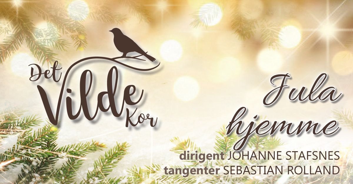 Konsert-bilde