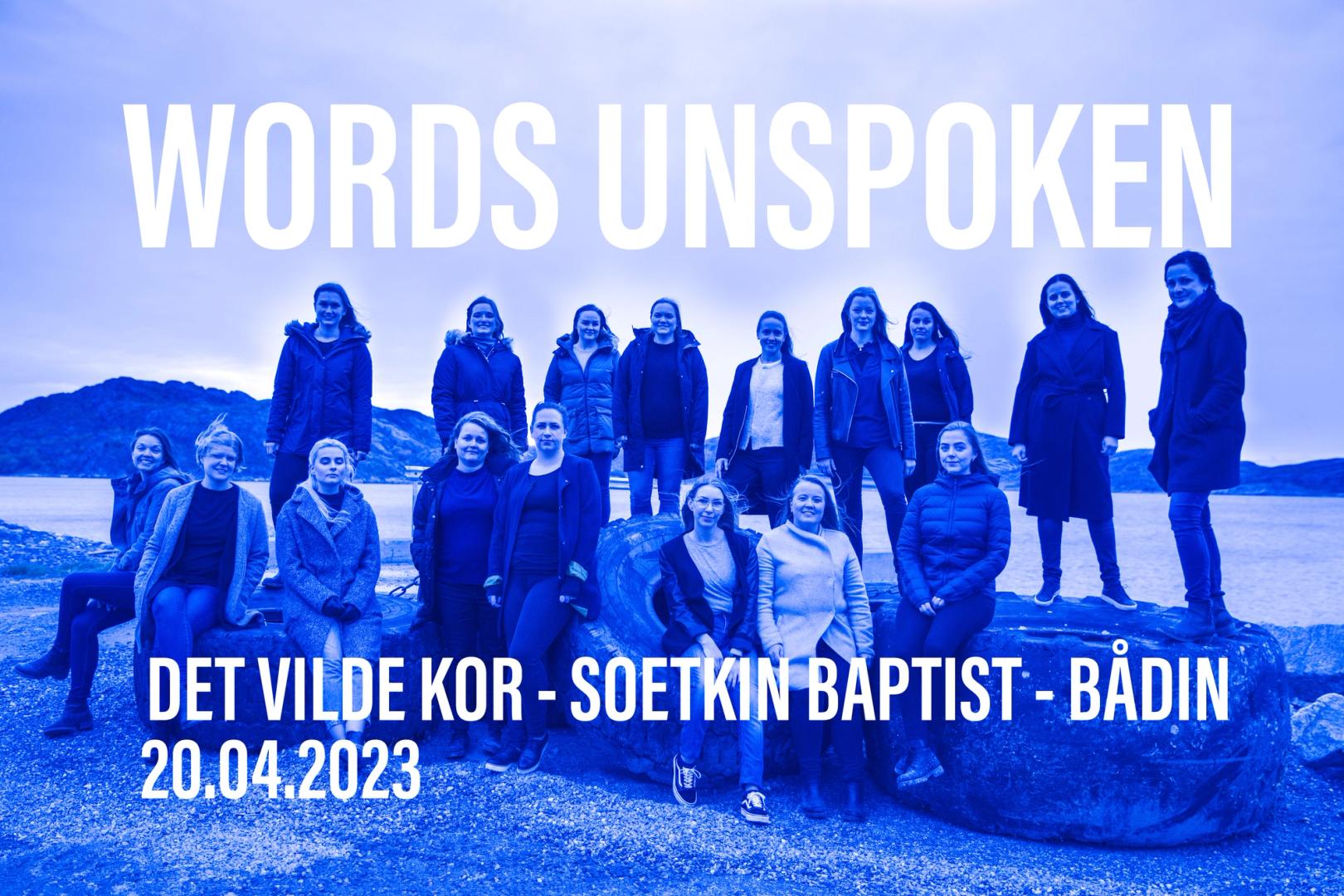 Konsert-bilde