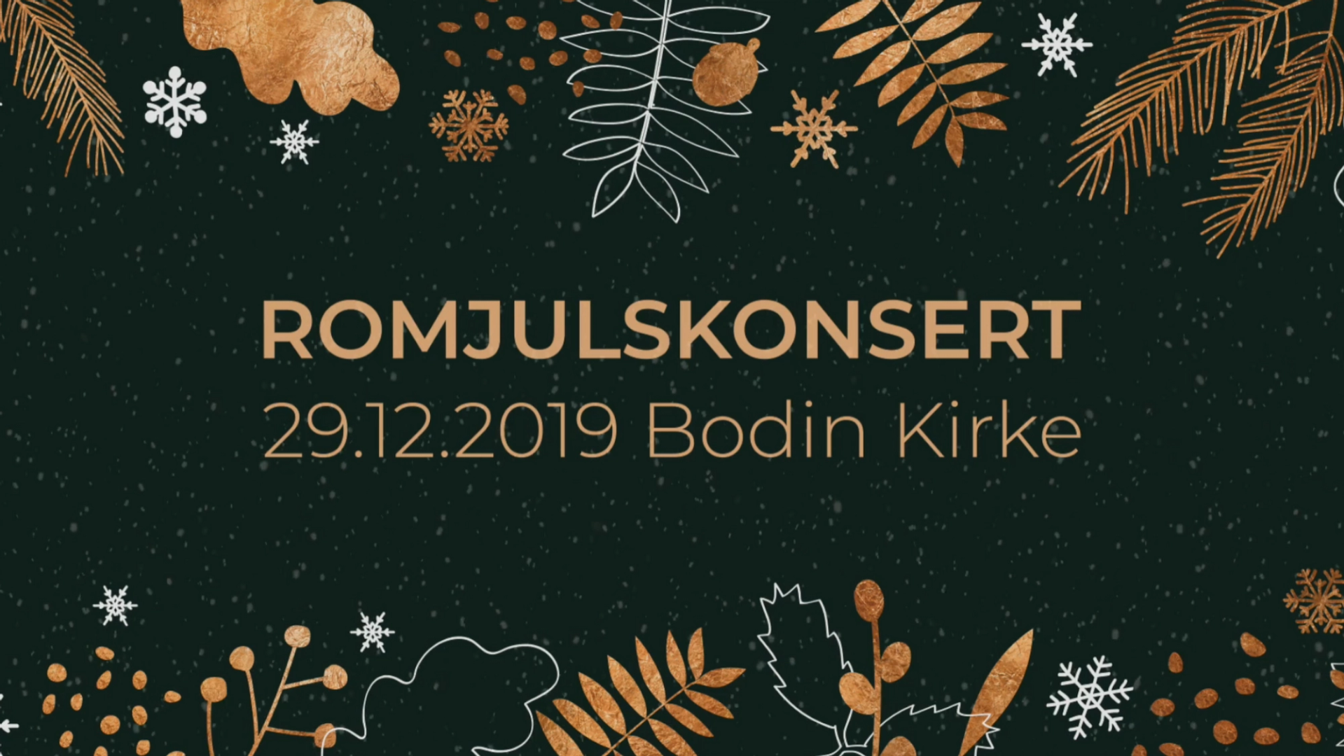 Konsert-bilde