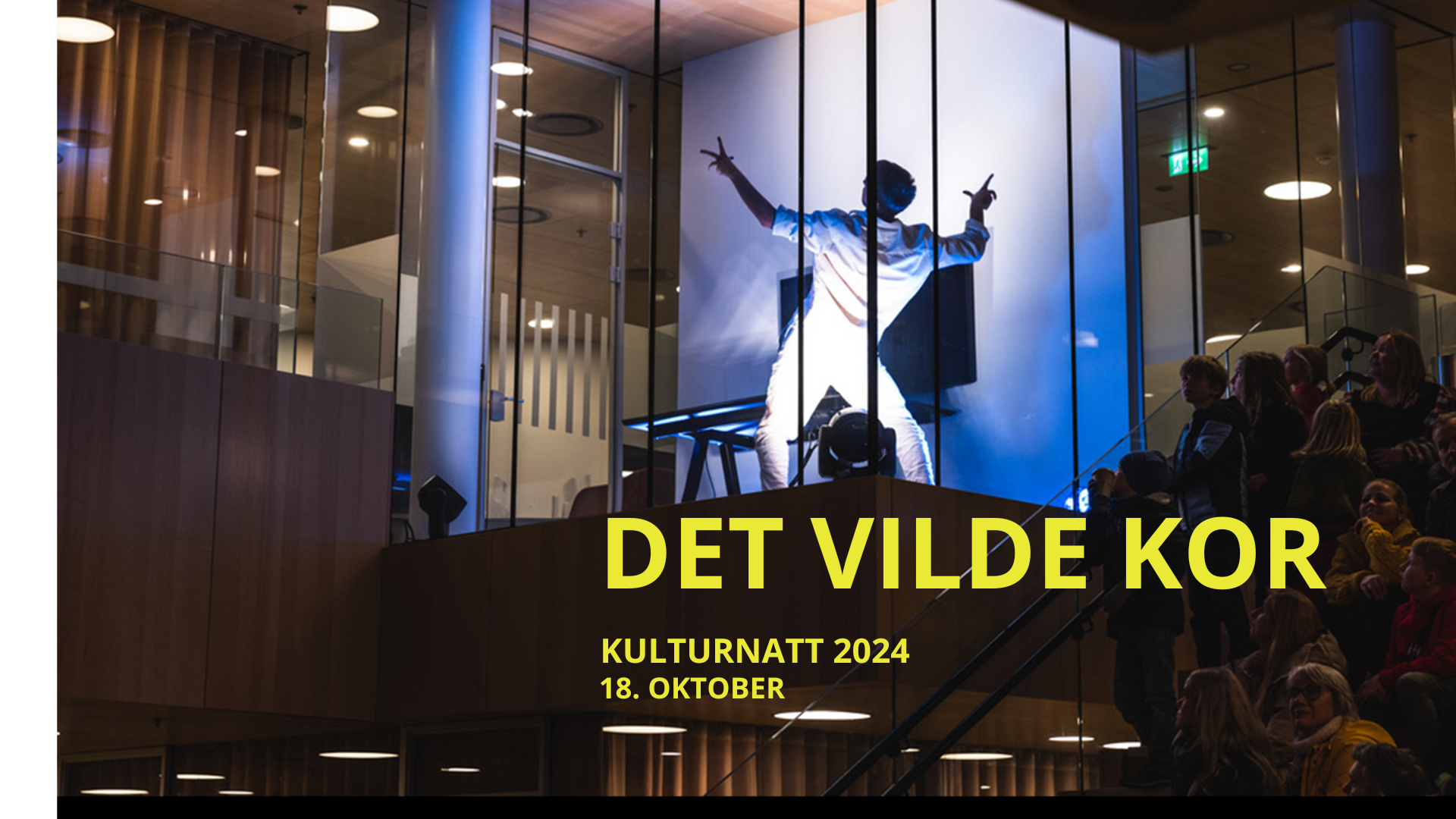 Konsert-bilde