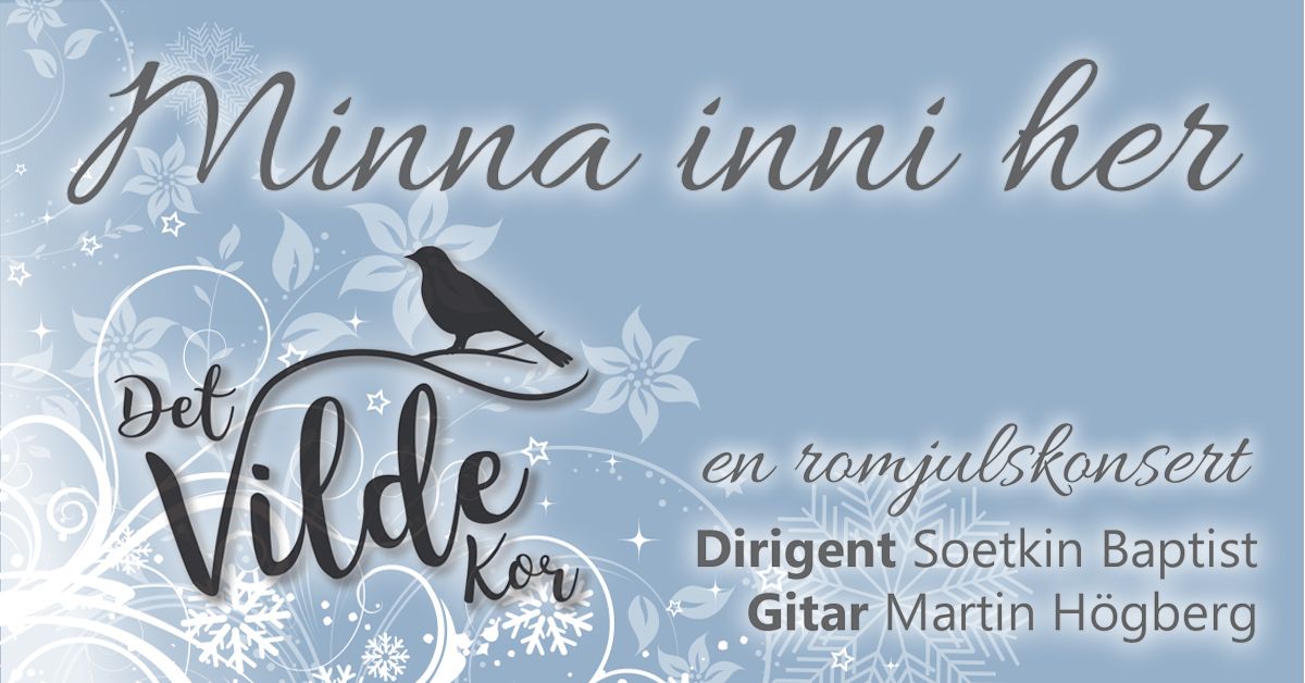 Konsert-bilde