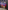 InfoComm 2026 Recap content image