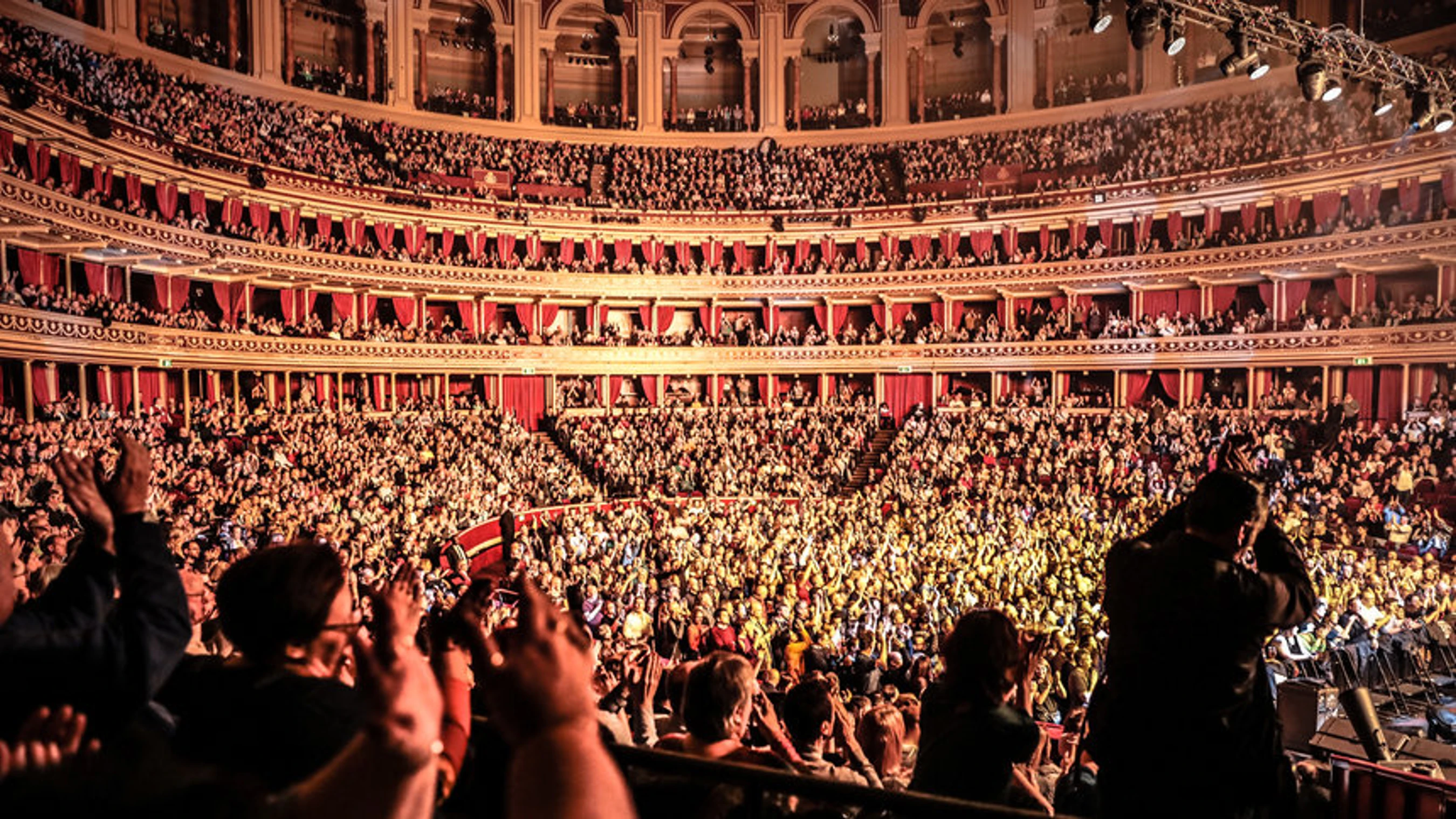 Concerts & Live Events