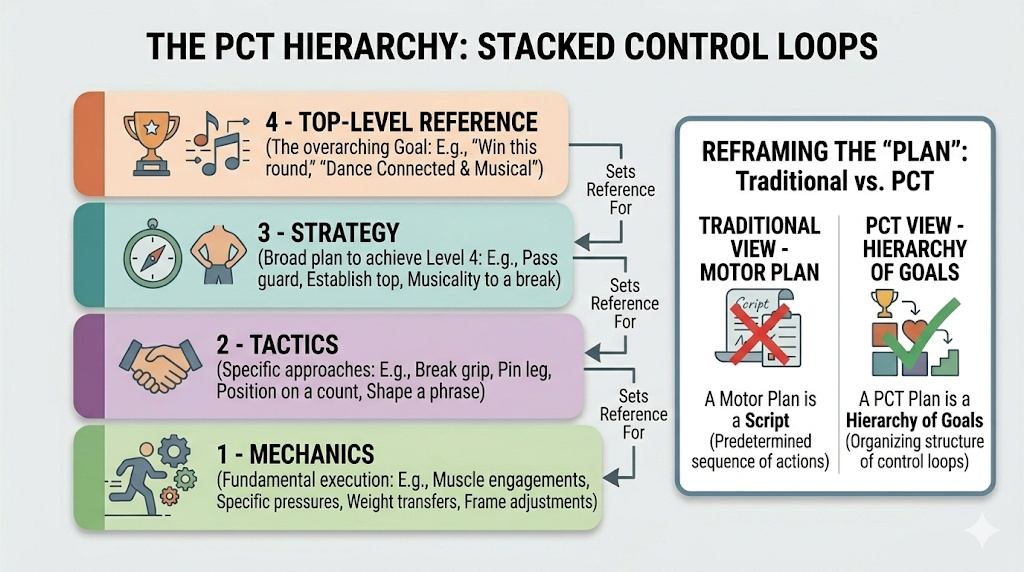 basic diagram of the hierarchy
