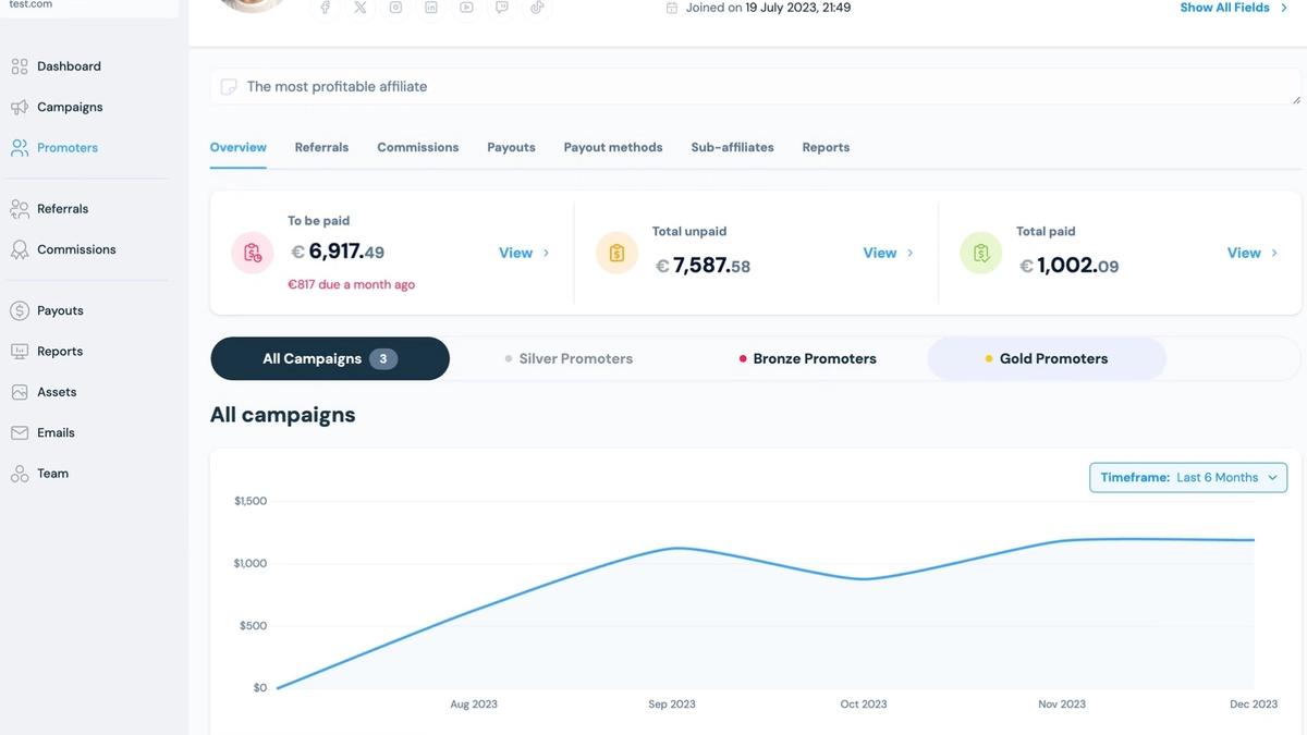 A professional affiliate dashboard showing real-time earnings, conversion metrics, and payout summaries.