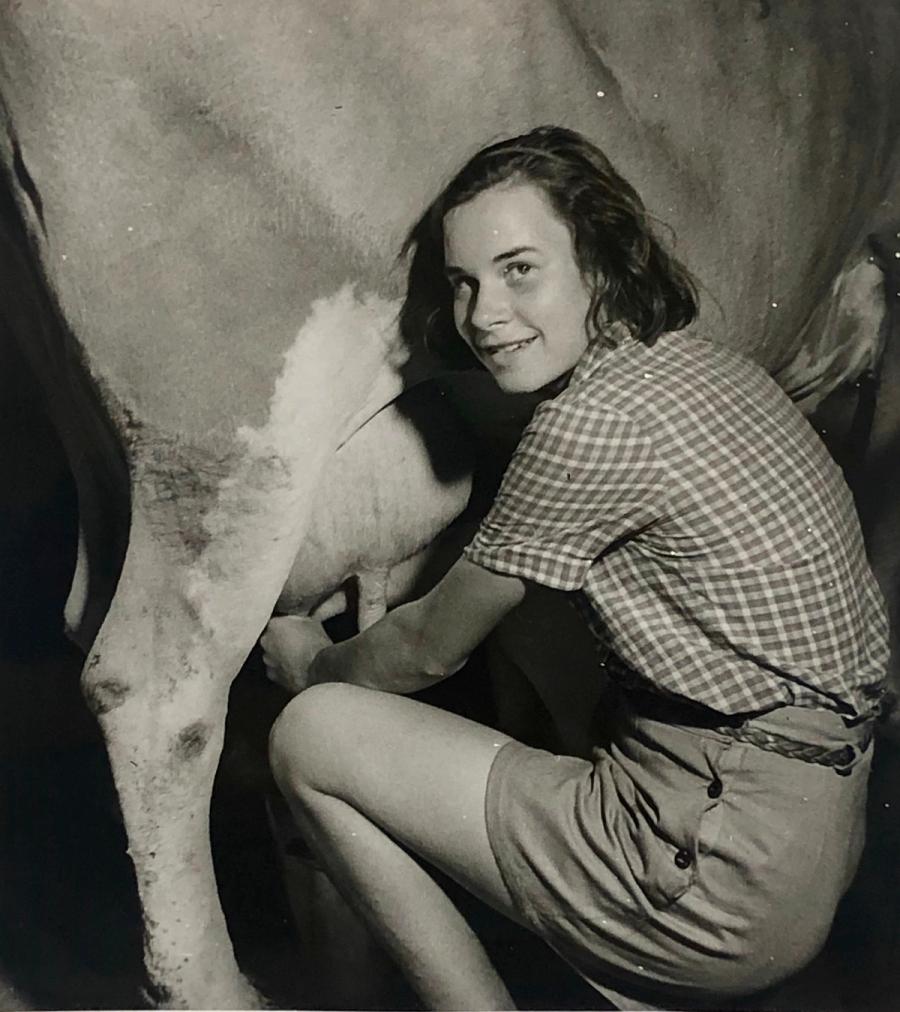 Jagna Braunthal milking a cow.