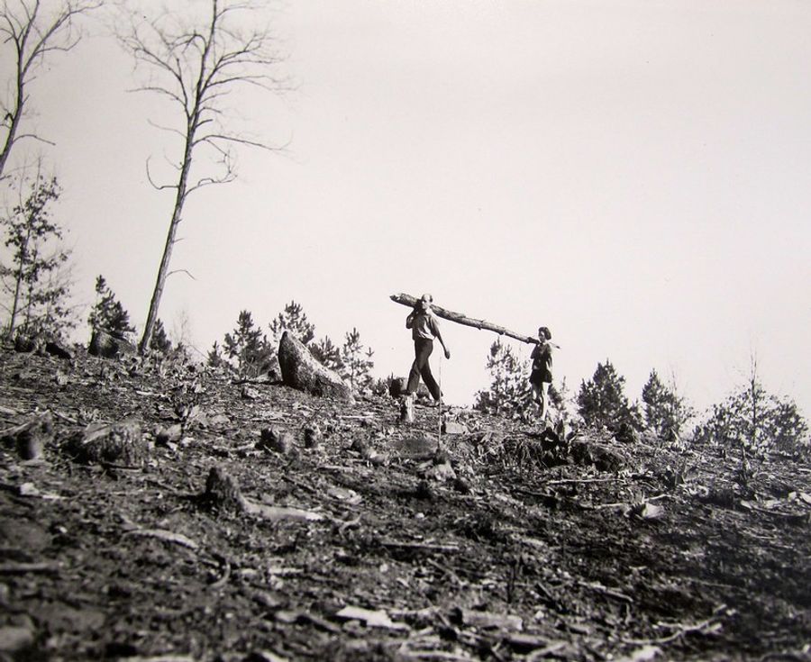 Ted Dreier and Cynthia Carr collecting wood (Lake Eden campus)