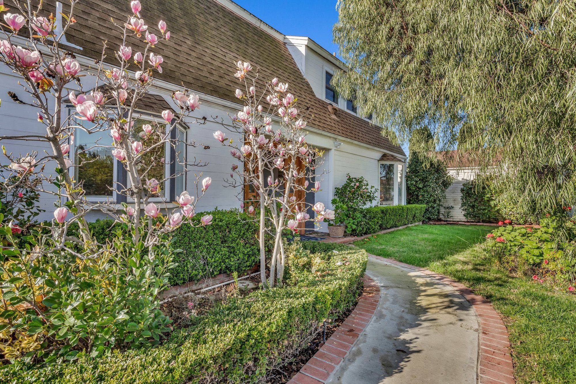 Front path with a magnolia tree in bloom, Tustin