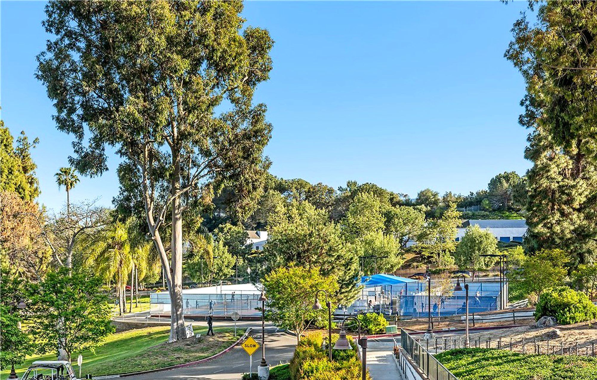 View over the trees from the balcony, Laguna Woods