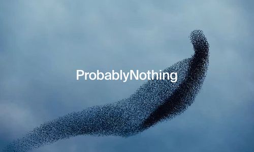 Probably Nothing ApS logo