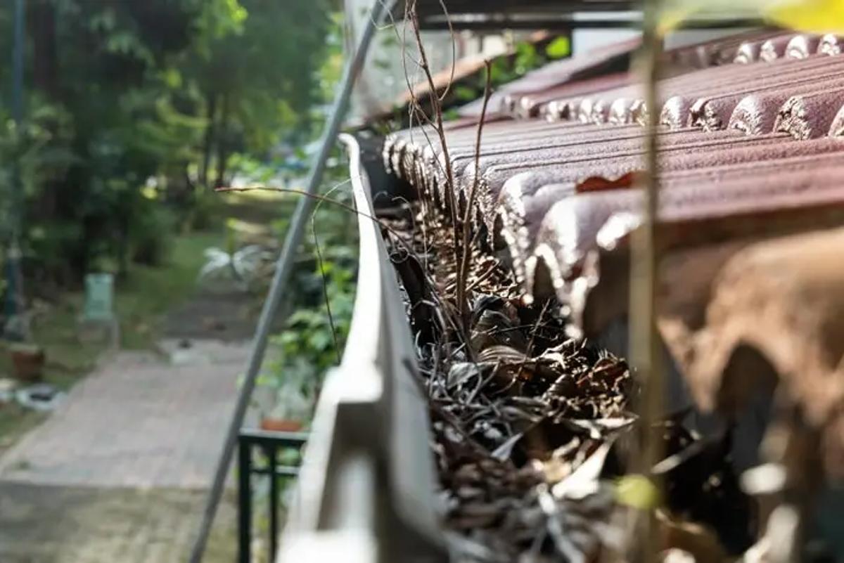 close-up-of-clogged-roof-rain-gutter-full-of-dry