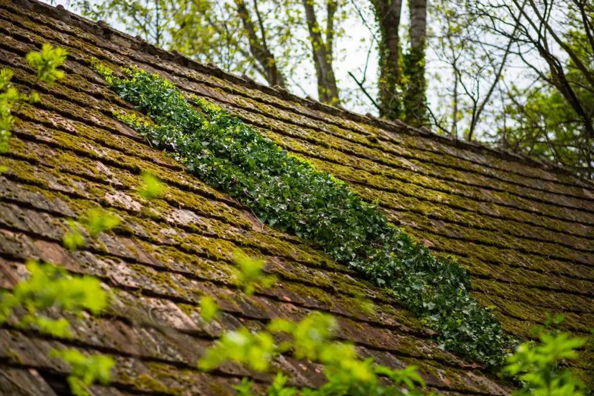 Does Your New Home Have a Good Roof? What to Look For