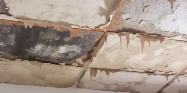 Roof Leak Repair: How to Spot and Fix Common Leak Issues