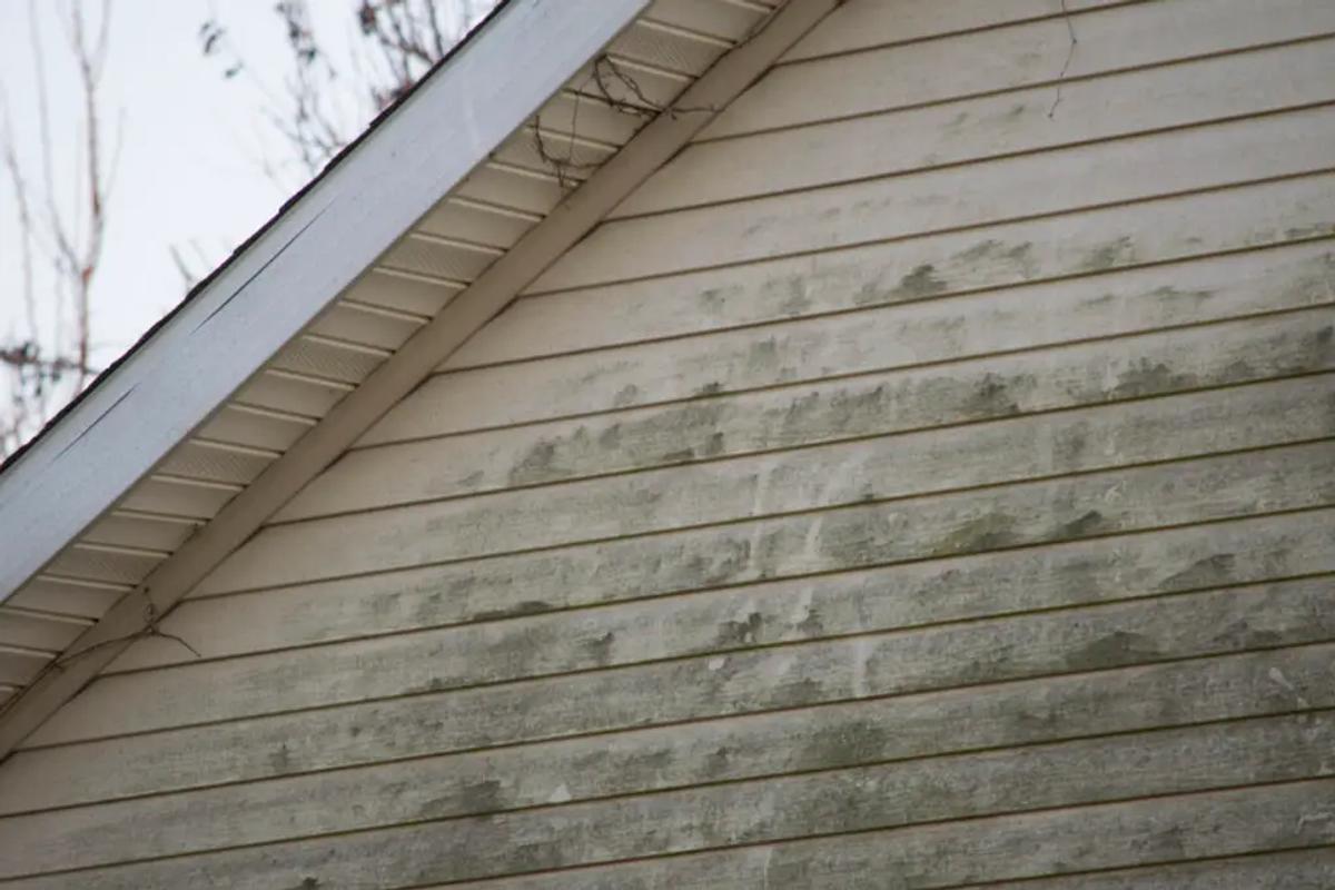 Mold and algae on roofs - A residential property showing mold and algae growth on its siding.