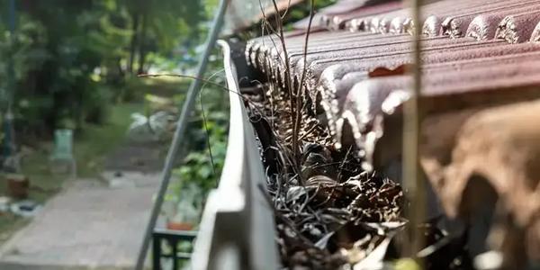 Gutter Cleaning Guide for Idaho Homeowners: Tips & Tricks