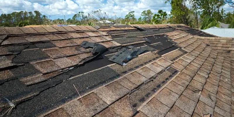 Know Your Roof: The Most Common Roof Problems and How to Identify Them