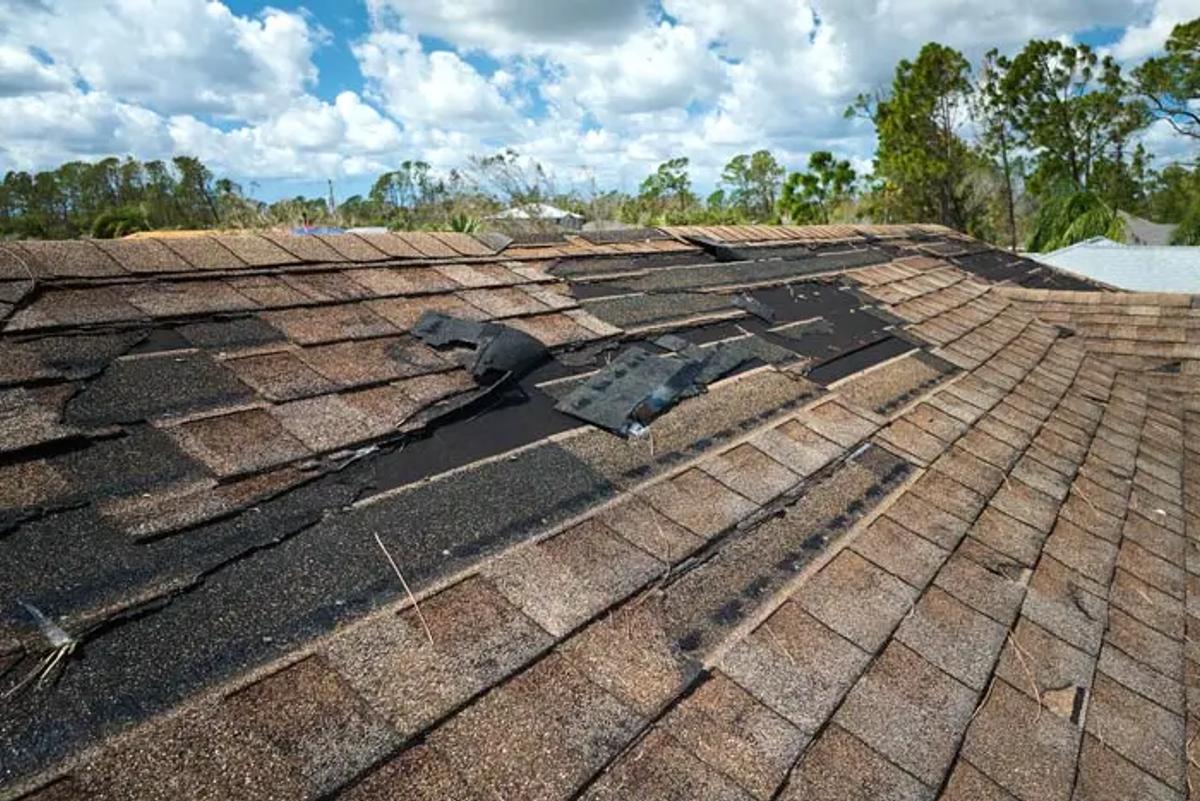 damages shingles