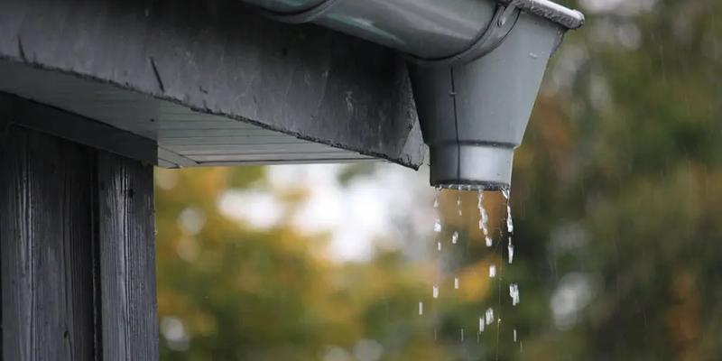 Expert Advice on Gutter Cleaning and Maintenance